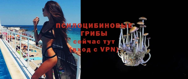 spice Алексеевка