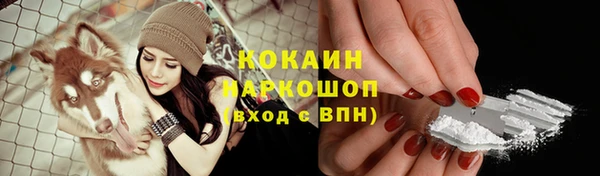 бошки Алзамай